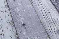 profhome-tapte-wallpaper-detail-855060-2.jpg