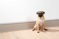 nmc-moulding-noel-marquet-fl17-int2.jpg