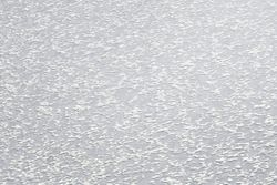 profhome-tapete-wallpaper-detail-309716-GU.jpg profhome-tapete-wallpaper-detail-309716-GU.jpg