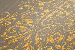 profhome-tapete-wallpaper-detail-319453-GU.jpg profhome-tapete-wallpaper-detail-319453-GU.jpg