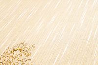 profhome-tapete-wallpaper-detail-319462-GU.jpg