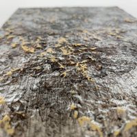 24973-wallface-detail.jpg