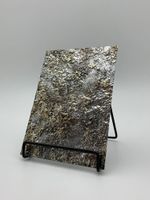 24973-wallface-display.jpg
