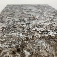 24972-wallface-detail.jpg
