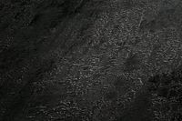 profhome-tapete-wallpaper-detail-326515-GU.jpg