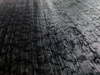wallface-25549-int.jpg