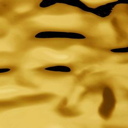 27823-wallface-detail.jpg 27823-wallface-detail.jpg