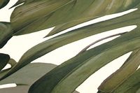 profhome-tapete-wallpaper-detail-365192-GU.jpg