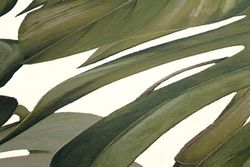 profhome-tapete-wallpaper-detail-365192-GU.jpg profhome-tapete-wallpaper-detail-365192-GU.jpg