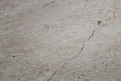 profhome-tapete-wallpaper-detail-369111-GU.jpg profhome-tapete-wallpaper-detail-369111-GU.jpg