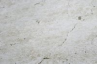 profhome-tapete-wallpaper-detail-369112-GU.jpg