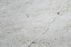 profhome-tapete-wallpaper-detail-369112-GU.jpg profhome-tapete-wallpaper-detail-369112-GU.jpg