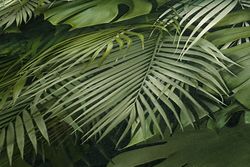 profhome-tapete-wallpaper-detail-372802-GU.jpg profhome-tapete-wallpaper-detail-372802-GU.jpg