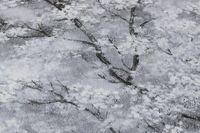 profhome-tapete-wallpaper-detail-374201-GU.jpg