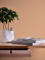 profhome-tapete-wallpaper-int3-377021-GU.jpg