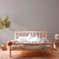 profhome-tapete-wallpaper-int1-377032-GU.jpg