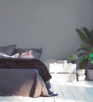 profhome-tapete-wallpaper-int1-377038-GU.jpg