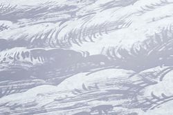 profhome-tapete-wallpaper-detail-377054-GU.jpg profhome-tapete-wallpaper-detail-377054-GU.jpg