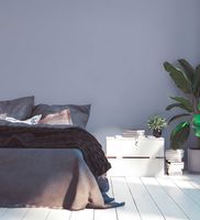 profhome-tapete-wallpaper-int1-377497-GU.jpg