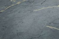 profhome-tapete-wallpaper-detail-378551-GU.jpg