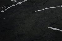 profhome-tapete-wallpaper-detail-378552-GU.jpg