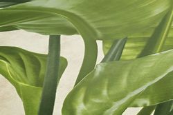 profhome-tapete-wallpaper-detail-378623-GU.jpg profhome-tapete-wallpaper-detail-378623-GU.jpg