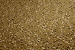 profhome-tapete-wallpaper-detail-378661-GU.jpg profhome-tapete-wallpaper-detail-378661-GU.jpg