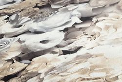 profhome-tapete-wallpaper-detail-380083-GU.jpg profhome-tapete-wallpaper-detail-380083-GU.jpg