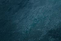 profhome-tapete-wallpaper-detail-380445-GU.jpg