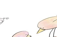 profhome-tapete-wallpaper-detail-381371-GU.jpg
