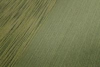 profhome-tapete-wallpaper-detail-956604-GU.jpg