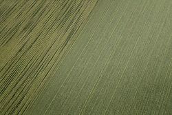 profhome-tapete-wallpaper-detail-956604-GU.jpg profhome-tapete-wallpaper-detail-956604-GU.jpg
