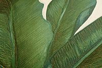 profhome-tapete-wallpaper-detail-962405-GU.jpg