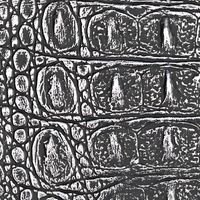 wallface-muster-sample-echantillon-13521.jpg