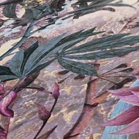 profhome-tapete-wallpaper-detail-381774-GU.jpg