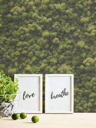 profhome-tapete-wallpaper-int2-394051-GU.jpg profhome-tapete-wallpaper-int2-394051-GU.jpg