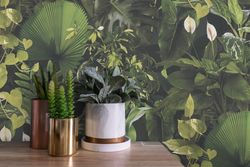 profhome-tapete-wallpaper-int2-396981-GU.jpg profhome-tapete-wallpaper-int2-396981-GU.jpg