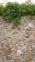 profhome-fototapete-photo-wallpaper-panel-392471-GU.jpg