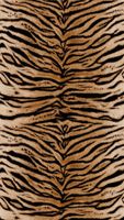 profhome-fototapete-photo-wallpaper-panel-398301-GU.jpg