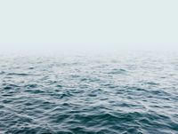 profhome-fototapete-photo-wallpaper-panel-382581-GU.jpg