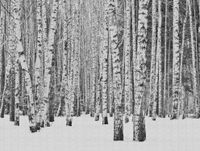 profhome-fototapete-photo-wallpaper-panel-382591-GU.jpg
