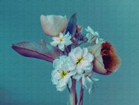profhome-fototapete-photo-wallpaper-panel-382691-GU.jpg