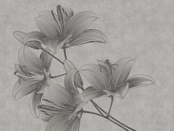profhome-fototapete-photo-wallpaper-panel-382781-GU.jpg profhome-fototapete-photo-wallpaper-panel-382781-GU.jpg