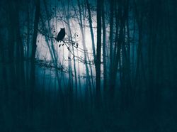 profhome-fototapete-photo-wallpaper-panel-399091-GU.jpg profhome-fototapete-photo-wallpaper-panel-399091-GU.jpg