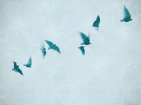 profhome-fototapete-photo-wallpaper-panel-399231-GU.jpg