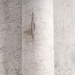 profhome-tapete-wallpaper-detail2-roll-790852-GU.jpg profhome-tapete-wallpaper-detail2-roll-790852-GU.jpg