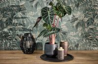 profhome-tapete-wallpaper-int1-782035-GU.jpg