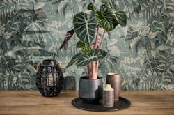profhome-tapete-wallpaper-int1-782035-GU.jpg profhome-tapete-wallpaper-int1-782035-GU.jpg