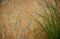 profhome-tapete-wallpaper-int5-786296-GU.jpg