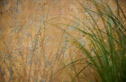 profhome-tapete-wallpaper-int5-786296-GU.jpg profhome-tapete-wallpaper-int5-786296-GU.jpg